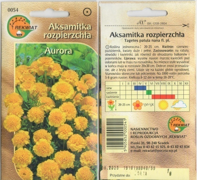 Ryhmäsamettikukka "Aurora" HUOM PÄiVÄYS! Ale -30%#