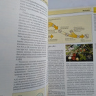 Evoluutio Kriittinen analyysi - pikkukuva 3
