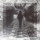 COCHEMEA: Vol 2: Baca Sewa LP - pikkukuva 2