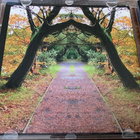 VARIOUS - GIANT FOR ANOTHER HOUR ( Gentle Giant ) - pikkukuva 3