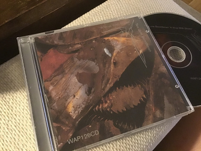 Two lone swordsmen . A virus with shoes CD warp