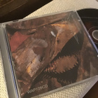 Two lone swordsmen . A virus with shoes CD warp - pikkukuva 1