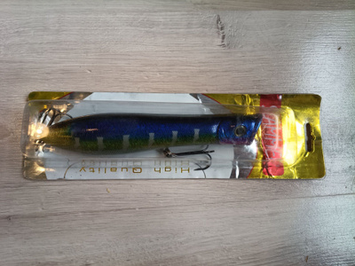 Slammer jätti pintauistin