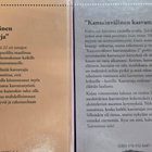 Kansainvälinen kasvattajakirja 1 & 2 Pekka Hannula - pikkukuva 2