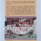 Ingmar Bergman : Fanny ja Alexander - pikkukuva 2