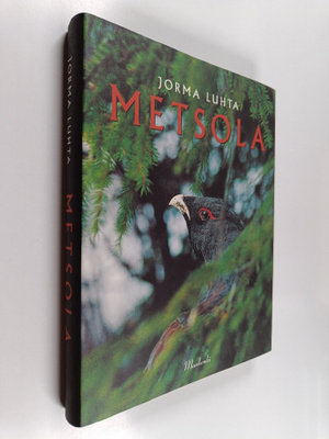 Jorma Luhta : Metsola