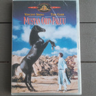 DVD: Mustan Orin Paluu (Vincent Spano, Teri Garr 1983) UUSI - pikkukuva 1