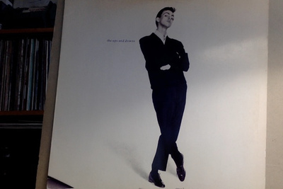 STEPHEN TIN TIN DUFFY :: THE UPS AND DOWNS : VINYYLI LP 1985