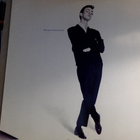 STEPHEN TIN TIN DUFFY :: THE UPS AND DOWNS : VINYYLI LP 1985 - pikkukuva 1