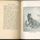 Ernest Thompson Seton: Eläinten sankareita (1.p., 1919) - pikkukuva 2