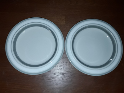 Arabia SALLA 2 kpl lautanen ø 20 cm
