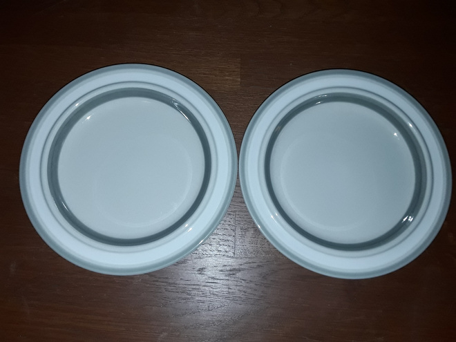 Arabia SALLA 2 kpl lautanen ø 20 cm
