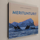 Juha Syväranta : Meritunturit - pikkukuva 1