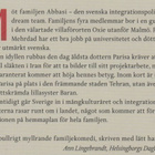 Marjaneh Bakhtiari: Kan du säga schibbolet? - pikkukuva 3