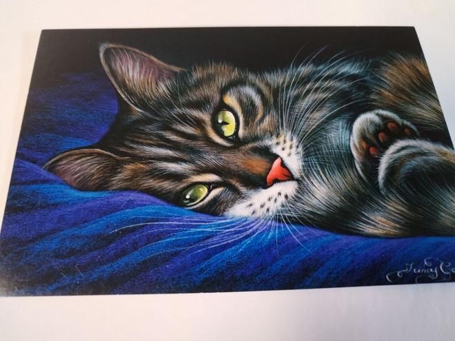 Kissa kortti,kulkematon.