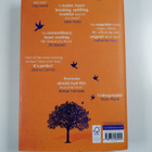 Clare Mackintosh : After the end - pikkukuva 2