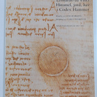 Leonardo Da Vinci : Naturstudier från windsor castle ; co... - pikkukuva 3