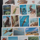 Dinosaurus 76 kpl keräilykorttia (DinoCardz 1992) - pikkukuva 2