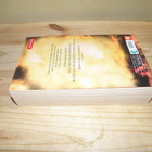 Conn Iggulden Valloittaja Veljessota (nidottu) - pikkukuva 2