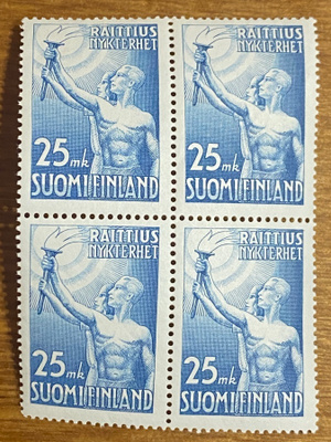 RAITTIUS NELIÖ**