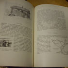 Lemminkäinen: SEULAN POHJA (1958) Sis.postikulut - pikkukuva 4