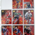 Fire on Ice 1994-95 Sisu kortteja, Katso - pikkukuva 1