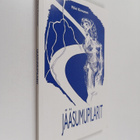 Päivi Kinnunen : Jääsumupilarit - pikkukuva 1