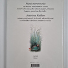 H. C. Andersen : Pieni merenneito - pikkukuva 2