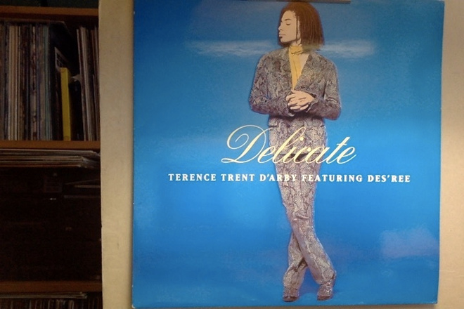 TERENCE TRENT D'ARBY+DES'REE :: DELICATE : VINYYLI  LP  1993
