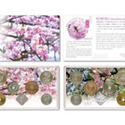 JAPANI Rahasarja 2024 BU Cherry Blossom in Osaka - pikkukuva 1