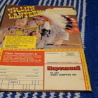 HOPEANUOLI -LEHTI NO 21/1979 - pikkukuva 2