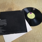 GRAND FUNK RAILROAD - Survival LP - pikkukuva 2