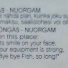 "ALAKÖNGÄS-NUORGAM"-KULKEMATON POSTIKORTTI - pikkukuva 2
