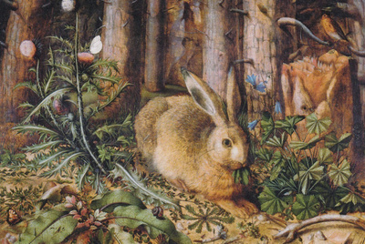 Hans Hoffmann: Jänis metsässä (1585)