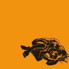 MOKOMA - Luihin ja Ytimiin digiCD 2007 - pikkukuva 1