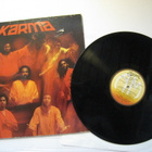 KARMA For everybody LP - pikkukuva 1