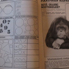 Jekku # 1/1981 - pikkukuva 2