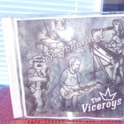 The Viceroys  : Surfchannel ( SIS POSTIKULU  ) - pikkukuva 1