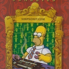 DVD: Simpsonit: Simpsonit.com - pikkukuva 1