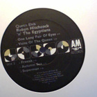 ROBYN HITCHCOCK 'N' THE EGYPTIANS : QUEEN ELVIS : VINYYLI LP - pikkukuva 4