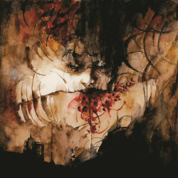 Shining - IX (CD)