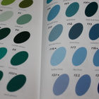 (kpoisto) Jeanne Allen - Showing Your Colors - pikkukuva 4
