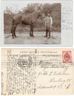 Vanha valokuvakortti, mies ja hevonen, vuodelta 1907