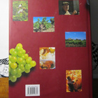 KIRJA Andre Domine : Viini 2005 - pikkukuva 3