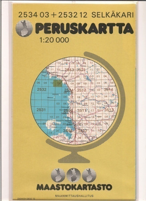 Peruskartta 1:20 000 Selkäkari
