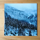 BORKNAGAR - WINTER THRICE 2xlp - pikkukuva 5