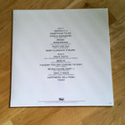 Blood Orange - Angel's Pulse LP (White Vinyl) - pikkukuva 2