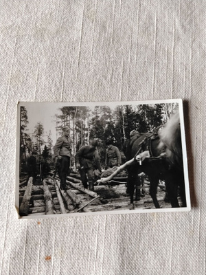 sotavalokuva haavoittuneen evakointi