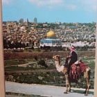 Jerusalem, vanha kaupunki, mies ja kameli, p. 1995 Suomeen - pikkukuva 1