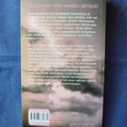 Hiltunen, Petri: Kuin salaman leimahdus - pikkukuva 2